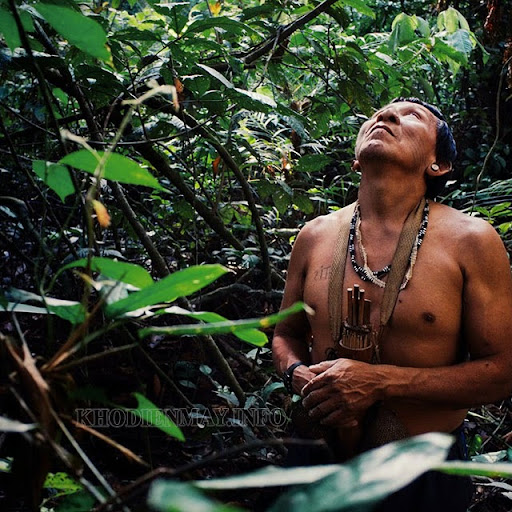 Thổ dân sống trong khu vực rừng amazon