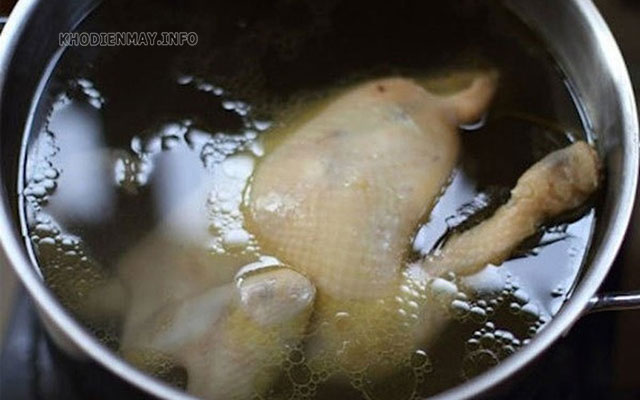 Nên luộc gà với nước lạnh để da gà không bị nứt