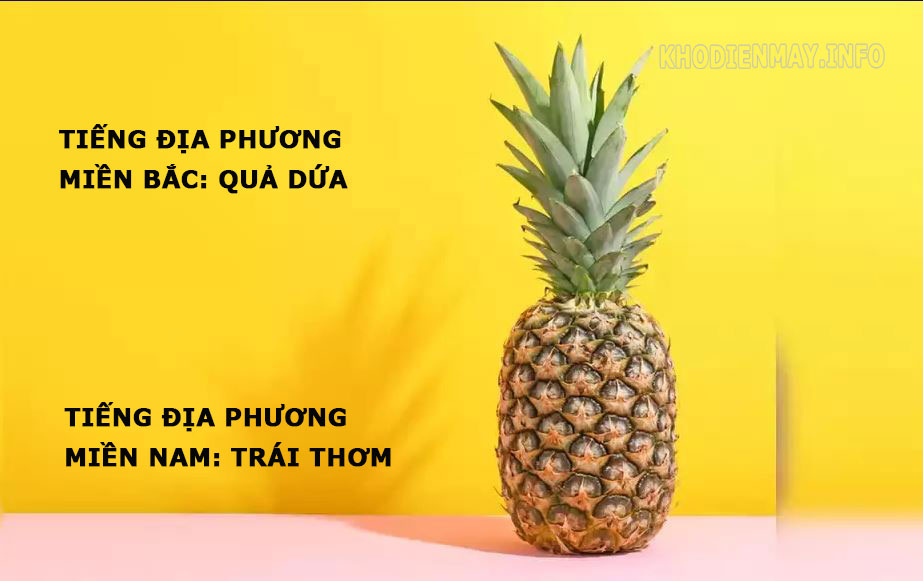 Ví dụ về tiếng địa phương ở Việt Nam